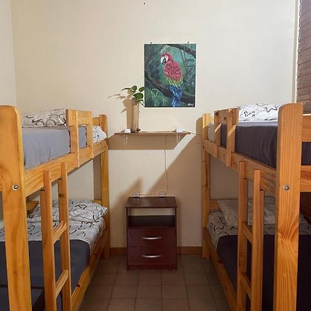 Bungalow Hostel Iguazu بويرتو إجوازو المظهر الخارجي الصورة