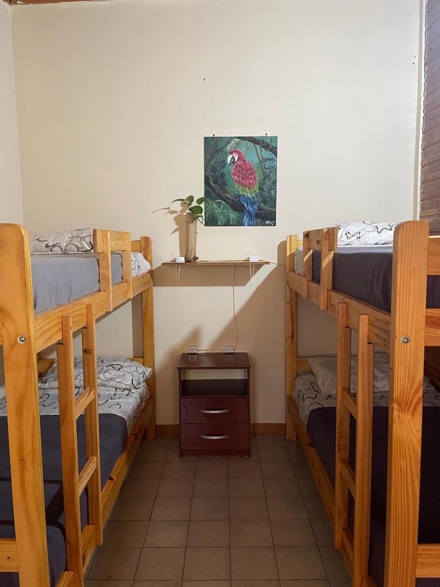 Bungalow Hostel Iguazu بويرتو إجوازو المظهر الخارجي الصورة