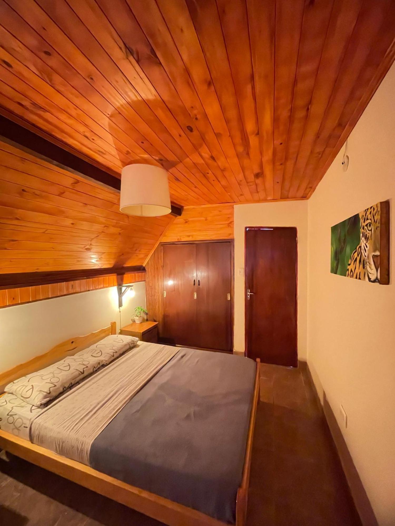 Bungalow Hostel Iguazu بويرتو إجوازو المظهر الخارجي الصورة