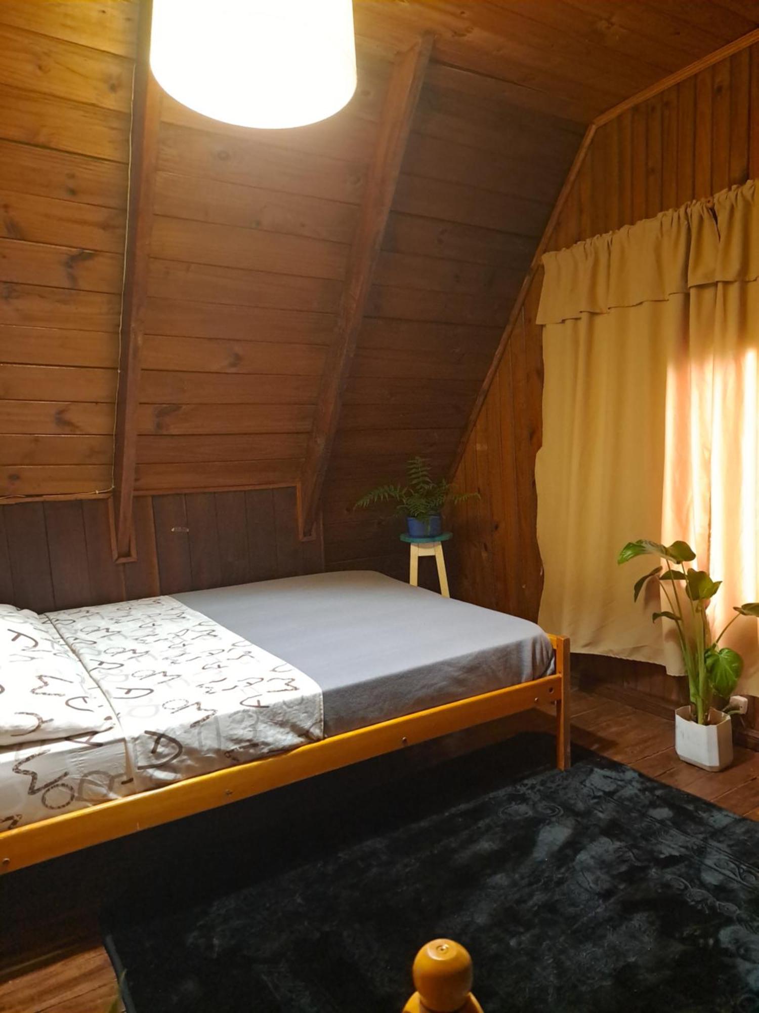 Bungalow Hostel Iguazu بويرتو إجوازو المظهر الخارجي الصورة